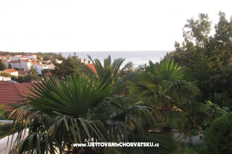 Apartmaji Ivana – foto 17