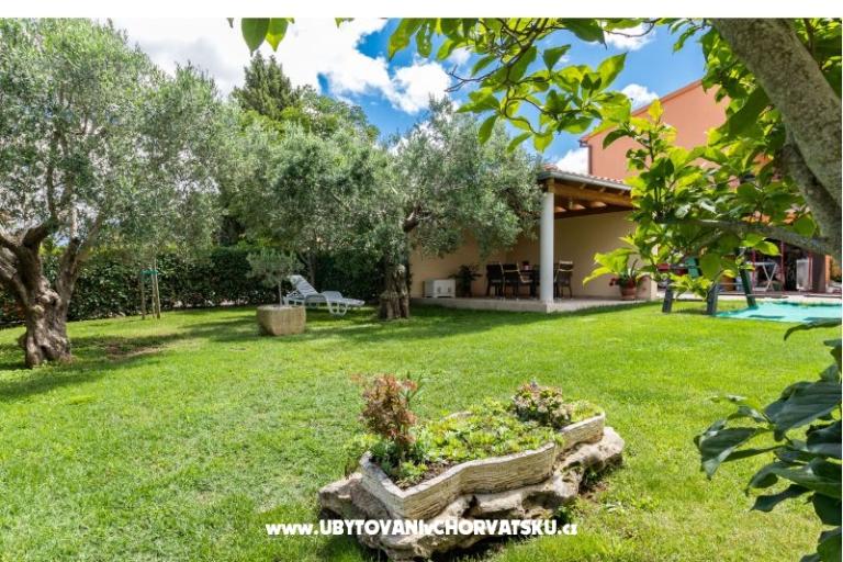 Apartmaji Moscarda – foto 13