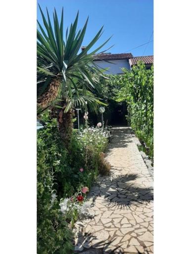 Apartmaji Alida Stinjan – foto 21