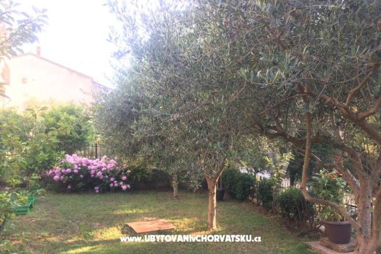 Apartmaji Tea – foto 12
