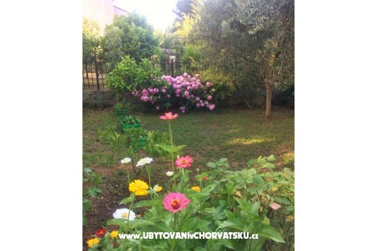 Apartmaji Tea – foto 13