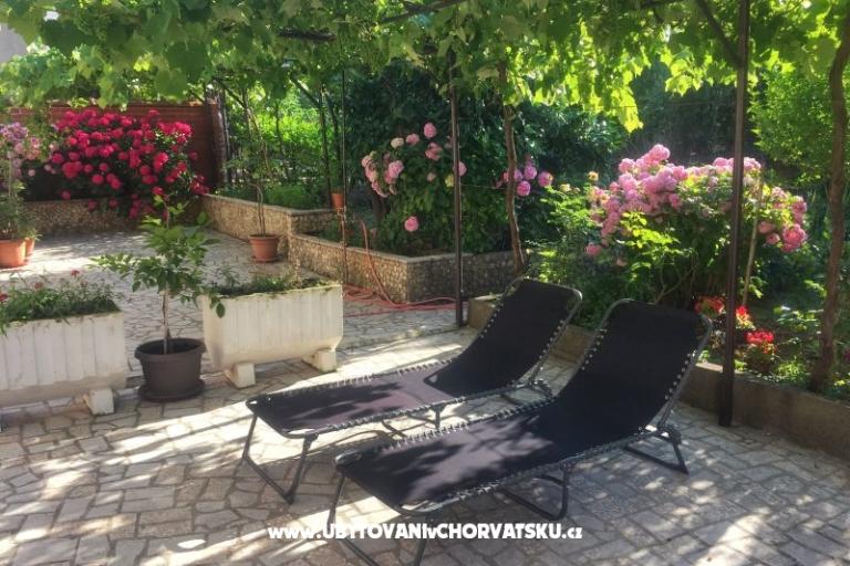 Apartmaji Tea – foto 14