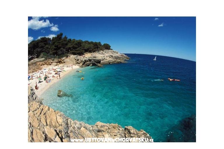 Apartmaji Milos – foto 12