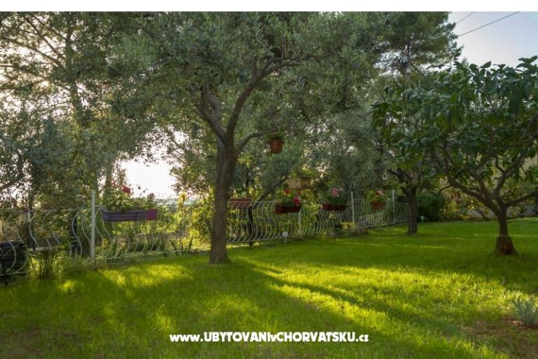 Apartma Petra – foto 5