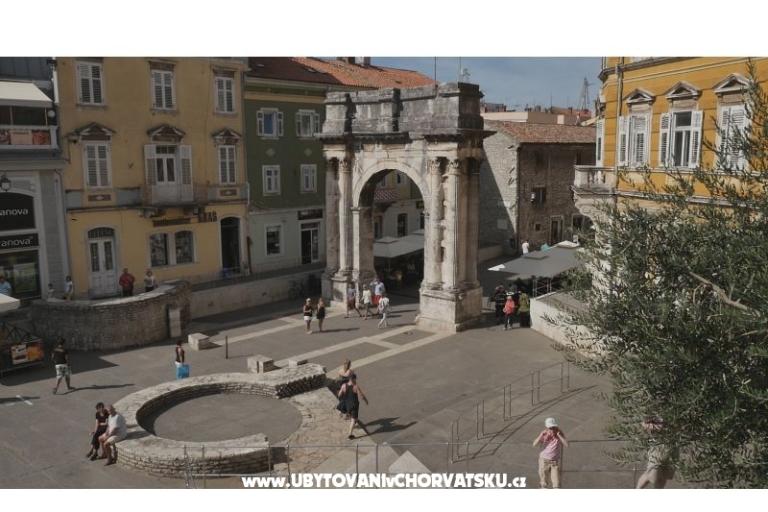 Apartma Petra – foto 8