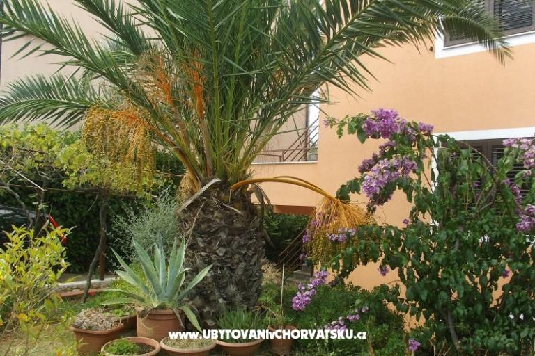 Privatna hiša – foto 11