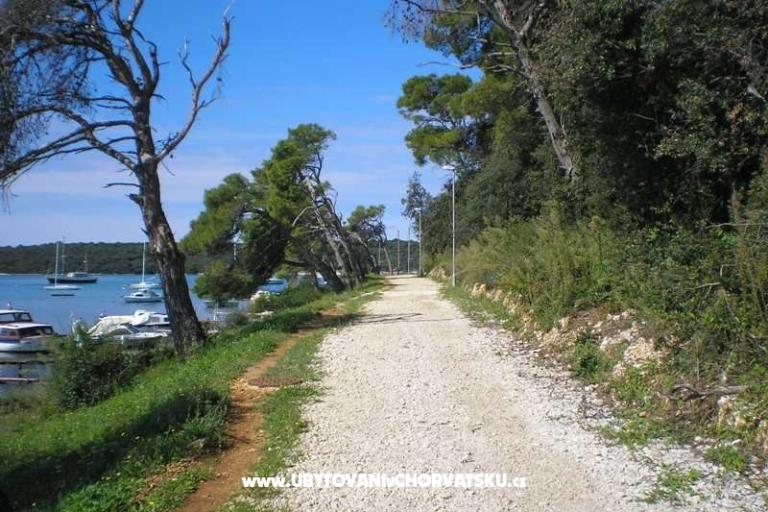 Privatna hiša – foto 14