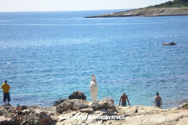 Privatna hiša – foto 15