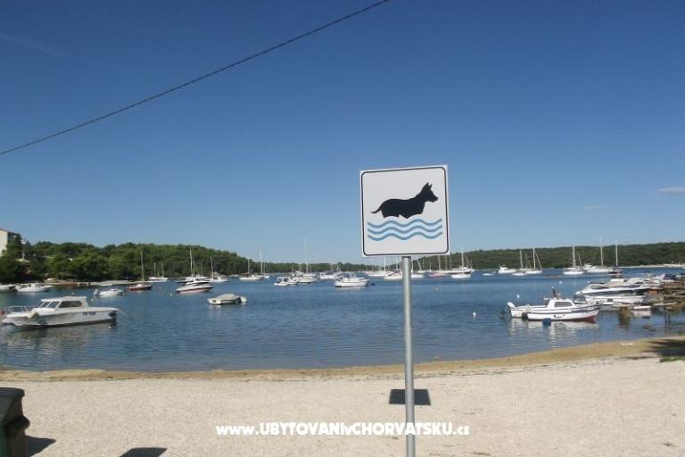 Privatna hiša – foto 18