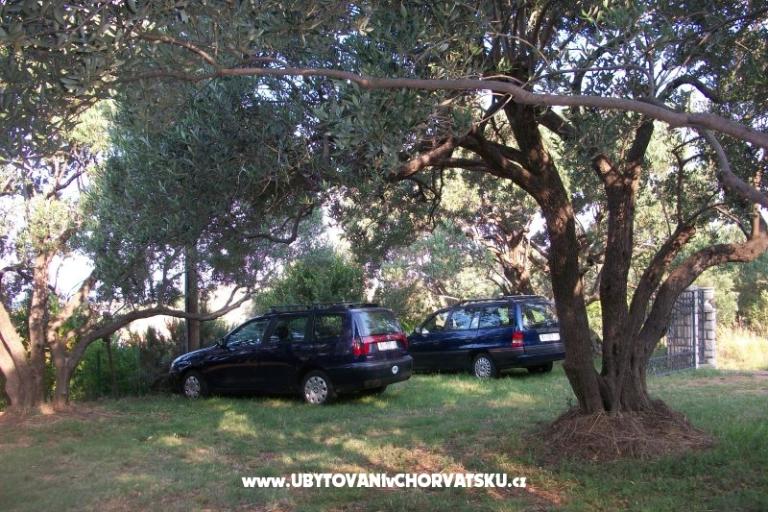 Apartmaji Bešić – foto 16