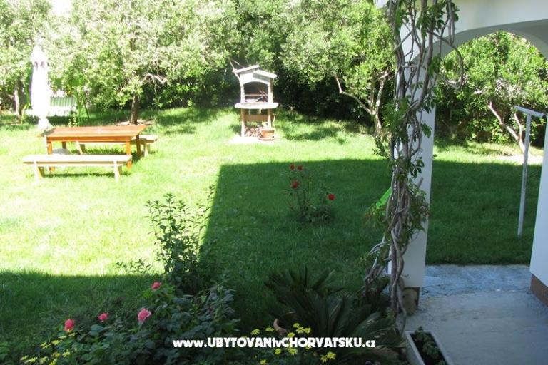 Apartmaji Danica – foto 4
