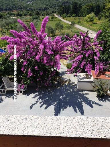Apartmaji Lupić – foto 16