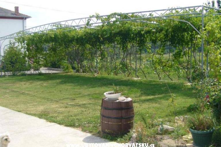 Apartmaji Mare – foto 8