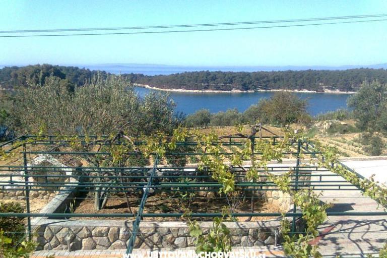 Apartmaji Mlacović – foto 10