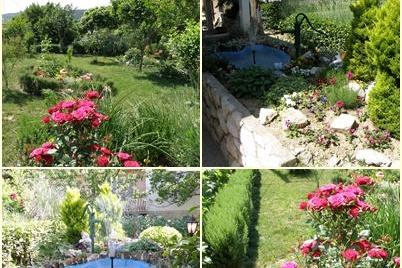Apartmaji Skoblar Holiday-Rab – foto 2