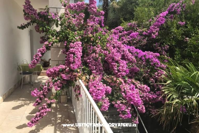 Apartmaji  Španjol – foto 4