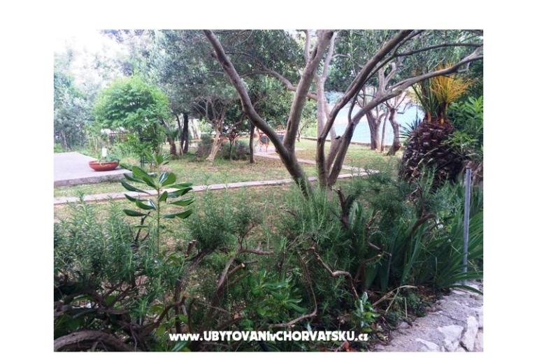 Apartmaji Supetarska Draga – foto 15
