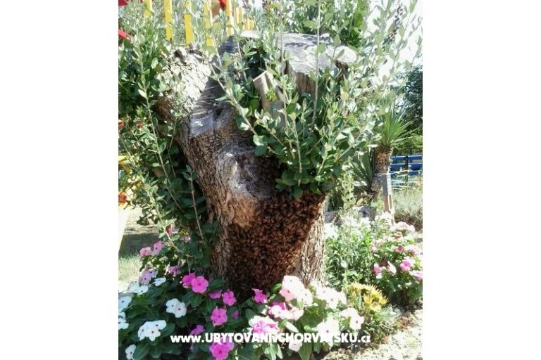 Apartmaji- Villa Ilijic – foto 10