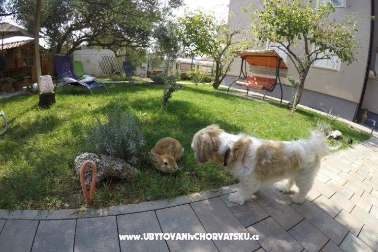 Apartmaji- Villa Ilijic – foto 11