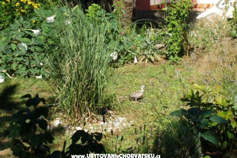 Apartmaji Malvina – foto 10