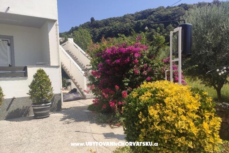 Apartmaji uvala Vardoža – foto 54