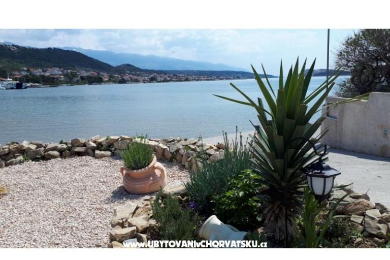 La Gatta Apartmaji – foto 13