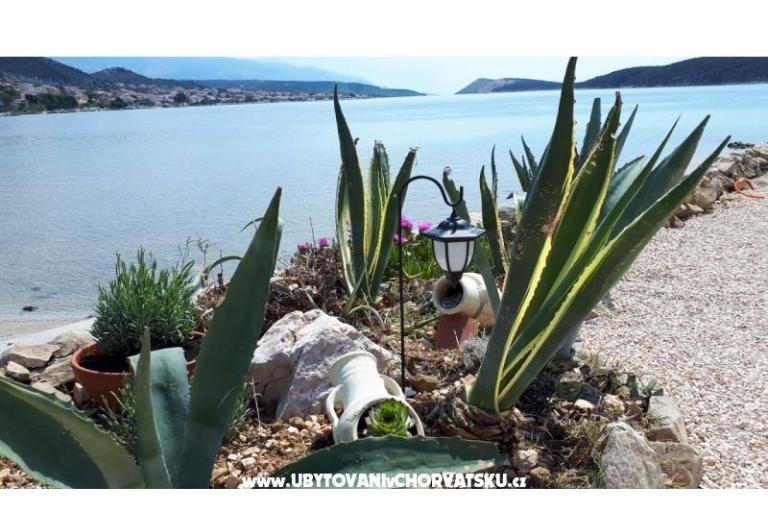La Gatta Apartmaji – foto 14