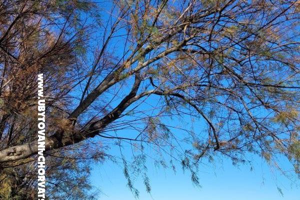 Villa Marija – foto 20