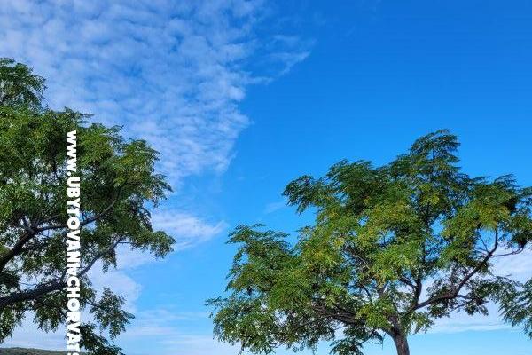 Villa Marija – foto 29