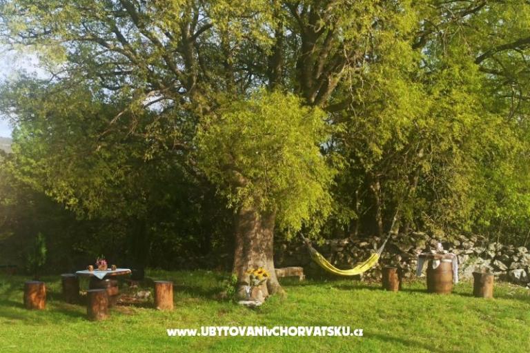 Traditional Istrian Hiša ENI – foto 11