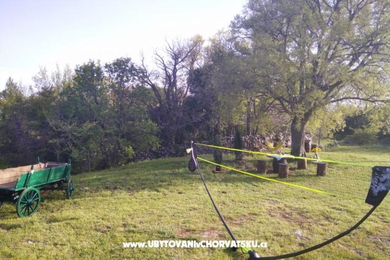 Traditional Istrian Hiša ENI – foto 14