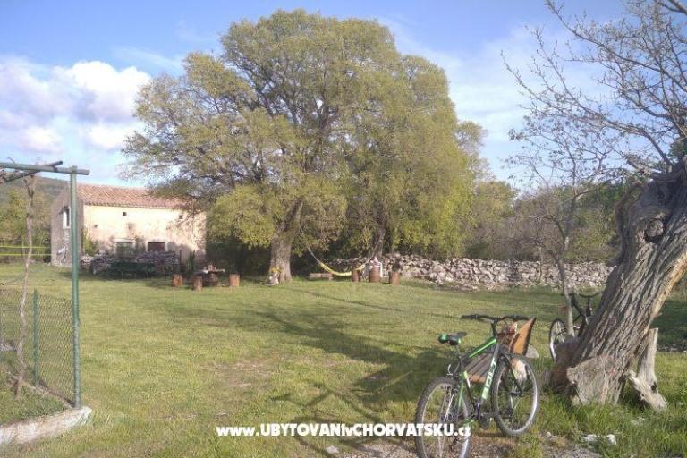 Traditional Istrian Hiša ENI – foto 4