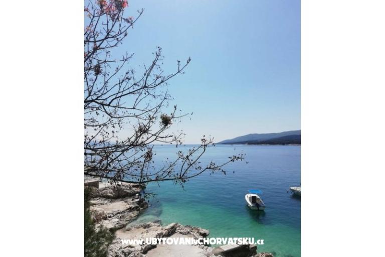 Traditional Istrian Hiša ENI – foto 7
