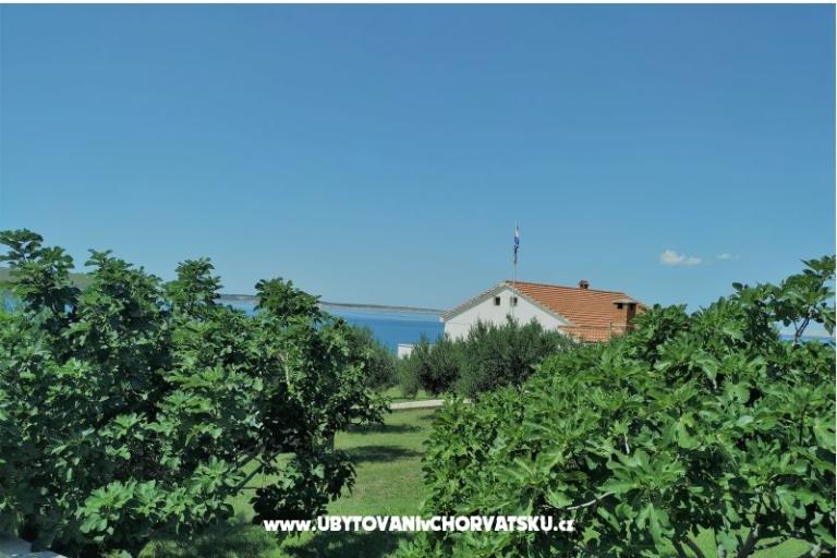 Apartma Miočić - Adam – foto 13