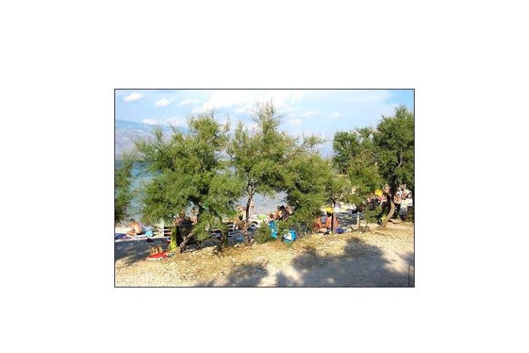 Apartma Nirvana – foto 18