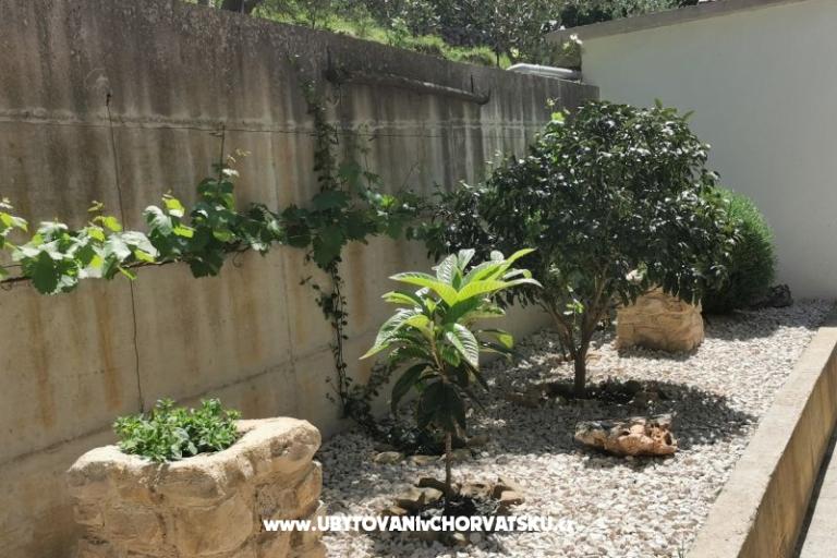 Apartmaji CAPE – foto 3