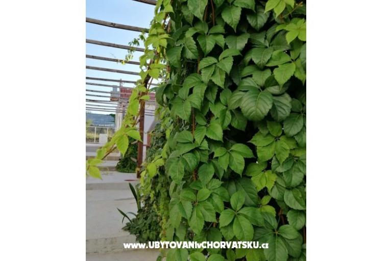 Apartmaji Kožul – foto 14