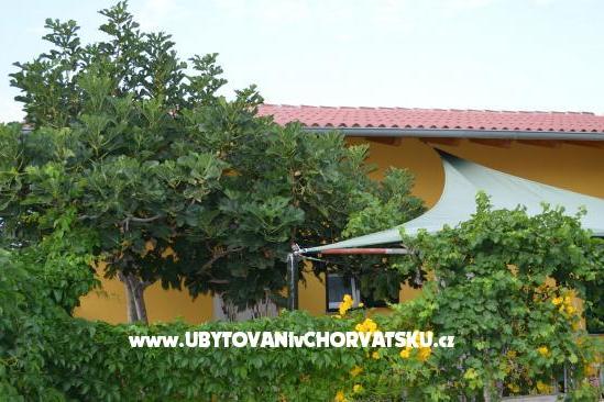 Apartmaji Negro – foto 9