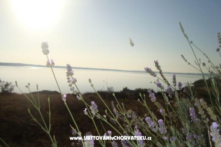 Apartma Marijan – foto 9