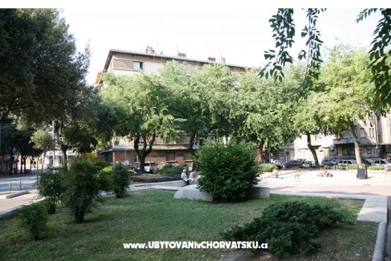 Apartma Ivna – foto 14