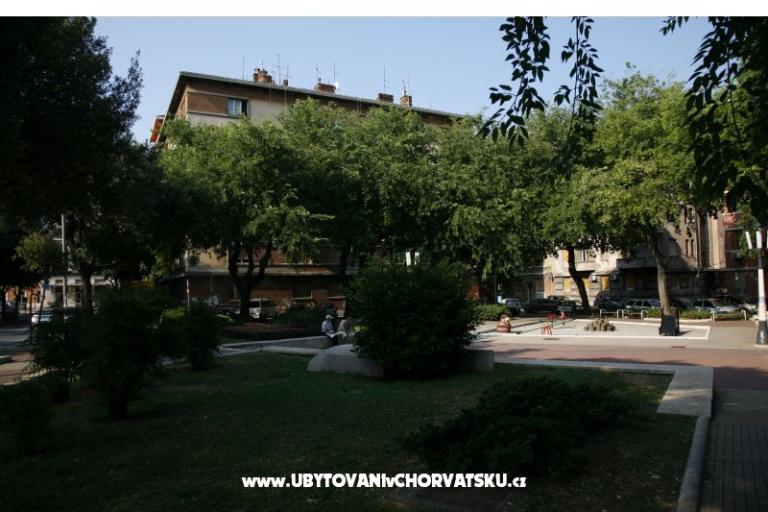 Apartma Ivna – foto 16