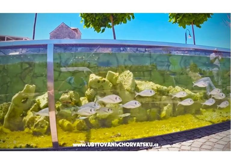Apartma Amfora – foto 16