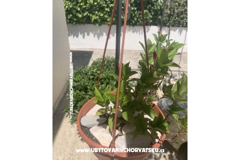 Apartma Odmor – foto 14