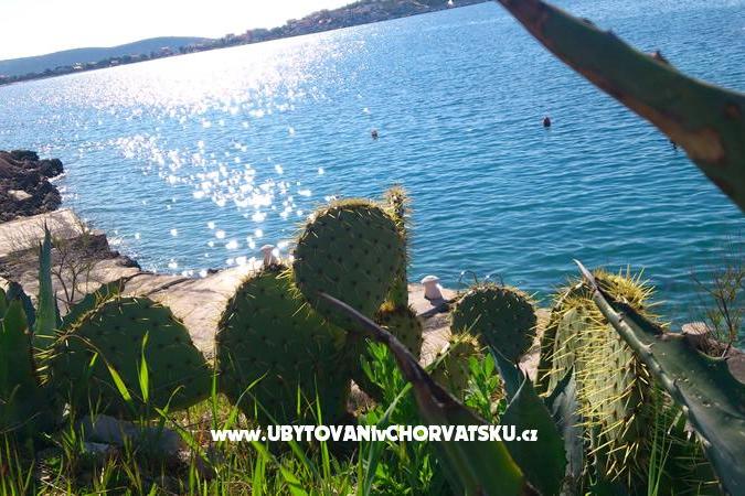 Apartma Dea – foto 12