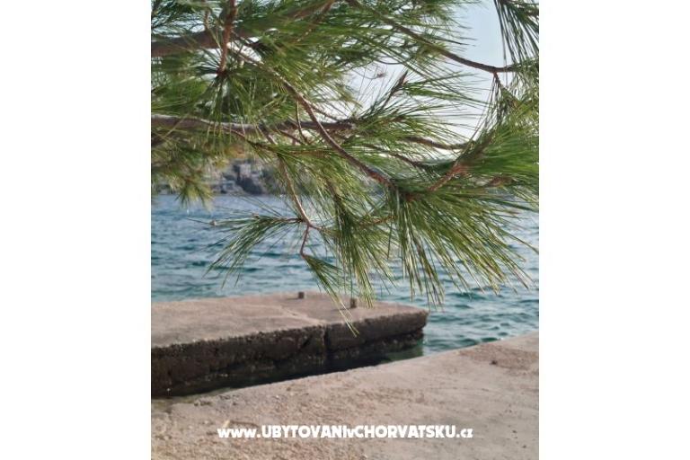 Apartma Mišić - OAZA MIRA – foto 19