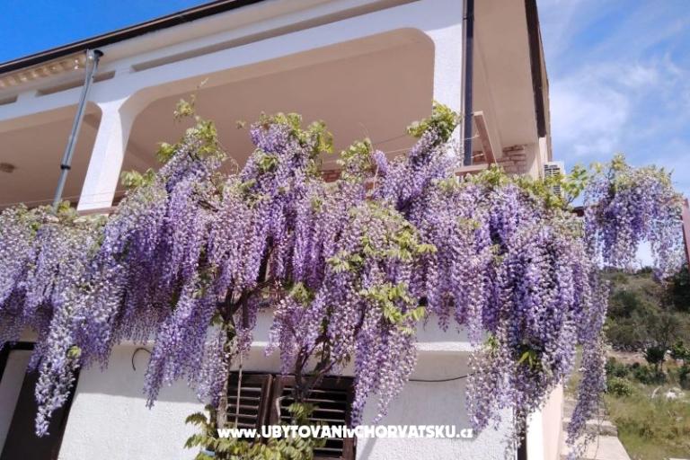 Apartma Mišić - OAZA MIRA – foto 21