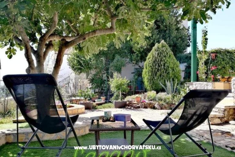Apartma Pane – foto 11