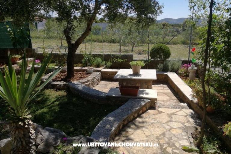Apartma Pane – foto 12