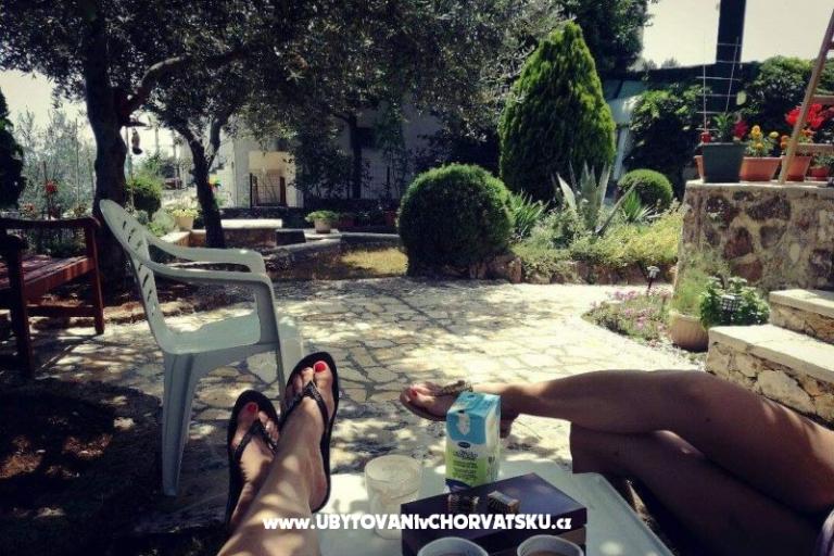 Apartma Pane – foto 13