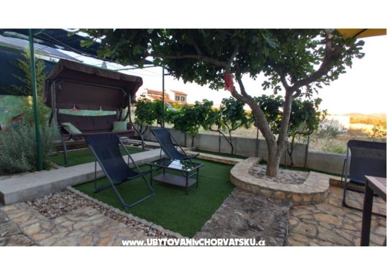 Apartma Pane – foto 7